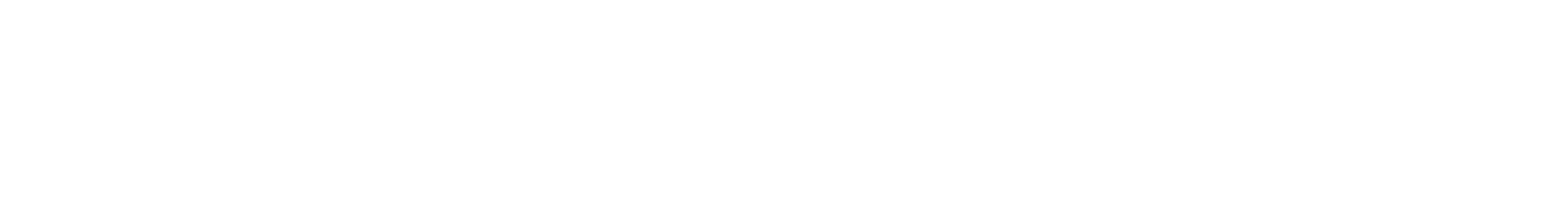 PRESIDENT logo