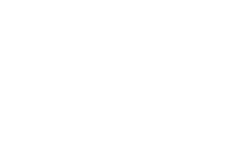 Ice Nine Kills logo